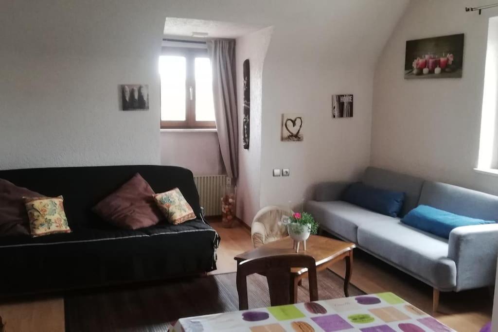 Chez Mamilou Apartment Soufflenheim Luaran gambar